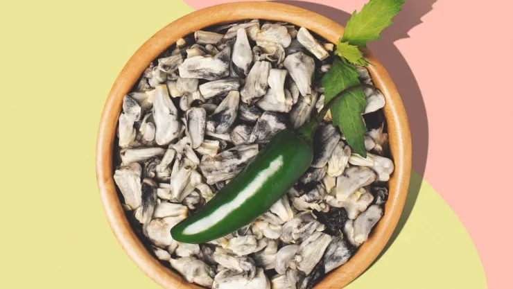/cuerpo-y-cuidado/cuales-son-beneficios-salud-ofrece-huitlacoche
