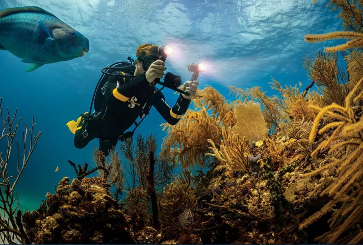 Conapesca reubican arrecife de coral