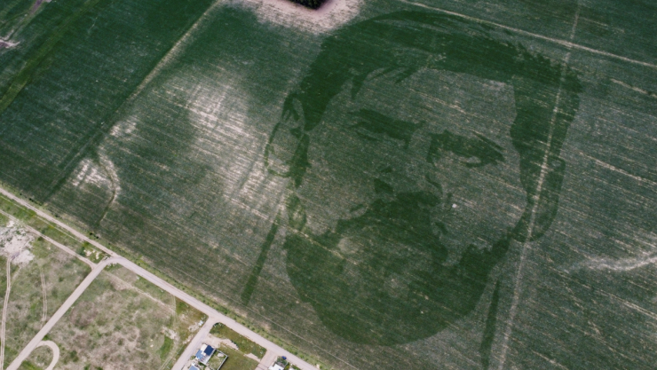 Cara de Messi en un campo de maíz