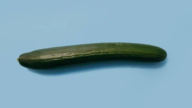 Hombre muere electrocutado por darse placer con un dildo