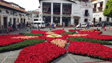 Inauguran tapete monumental de flor de nochebuena en Taxco, Guerrero