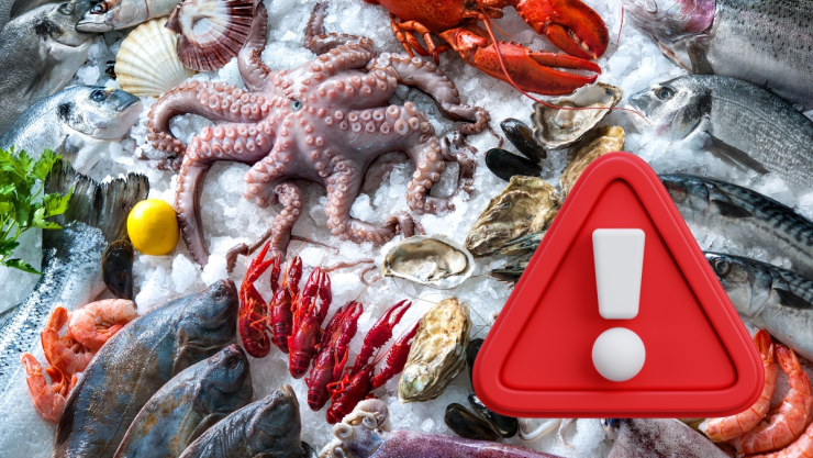 Alerta por bacteria carnívora en mariscos
