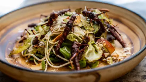 Famosos restaurantes de insectos en la CDMX