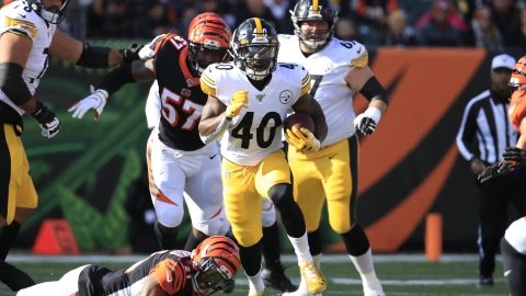 Pittsburgh Steelers v Cincinnati Bengals
