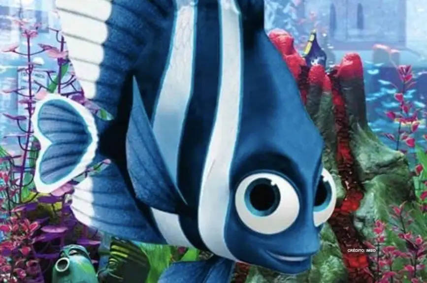 buscando-a-nemo