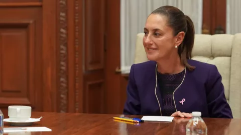 &iquest;Cu&aacute;ndo es la Revocaci&oacute;n de Mandato seg&uacute;n la Constituci&oacute;n?