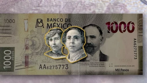 descarga - 2026-02-10T141751.356.webp