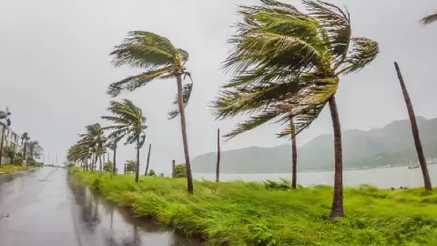 Beyl habría cobrado la vida de una mujer mexicana en Texas