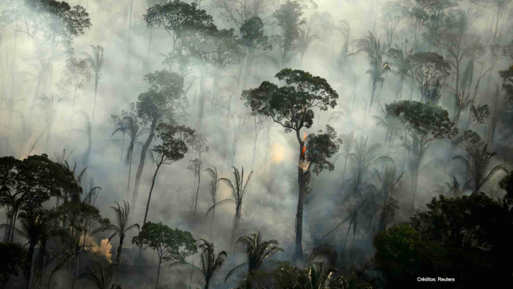 incendios selva amazónica.jpg