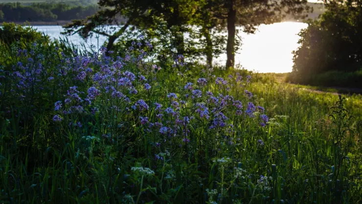 Calidad del aire hoy 29 de agosto