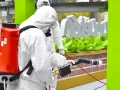ASÍ ES COMO “CLEAN ADN” SANITIZA EL CONTENEDOR DEL JUGUETÓN AZTECA