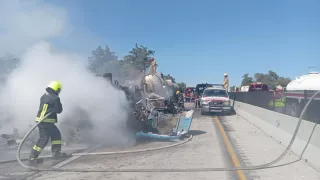 Diseño sin título - 2024-11-16T114149.927.jpg