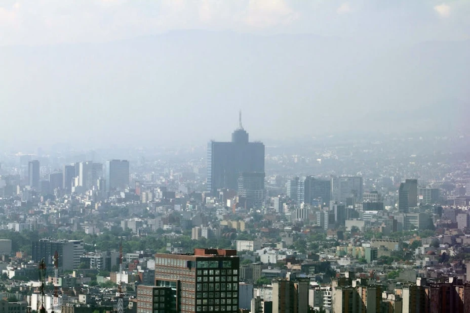 Contaminación