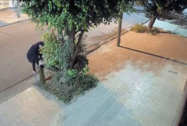 Captan a mujer tirando excremento a la casa de sus vecinos en Argentina