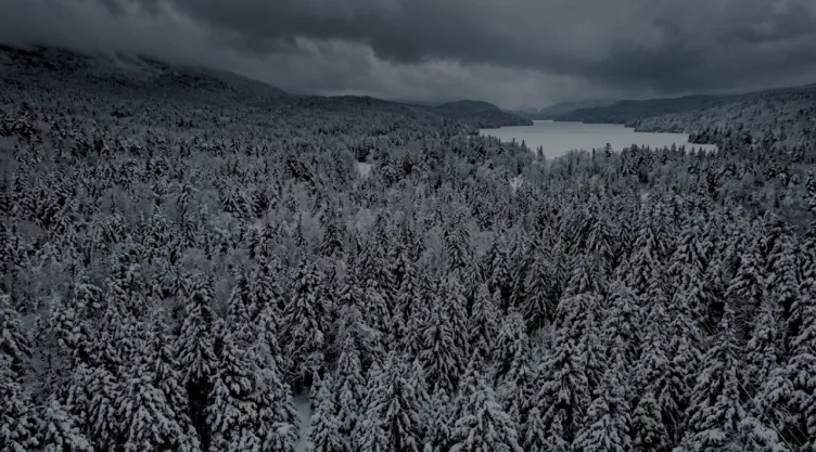 Invierno en Estados Unidos: ¿Cómo afectará el fenómeno de “súper El Niño” al clima?