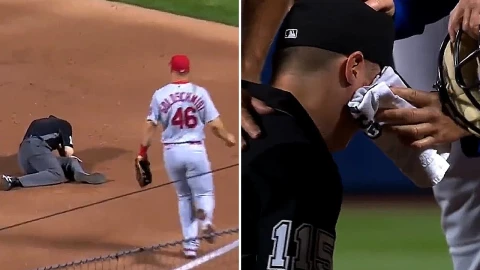 beisbol_pelotazo_arbitro