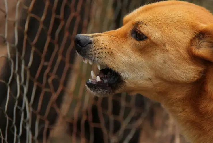 efemérides 28 de septiembre a.jpg