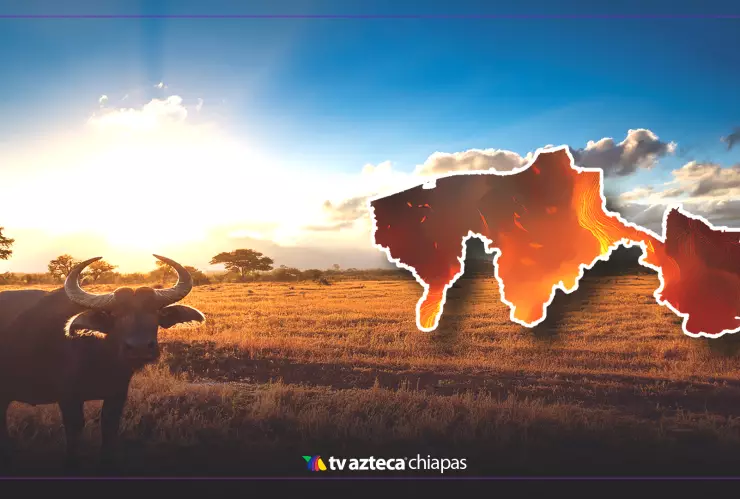 Clima en Tabasco hoy 19 de abril de 2025: SMN