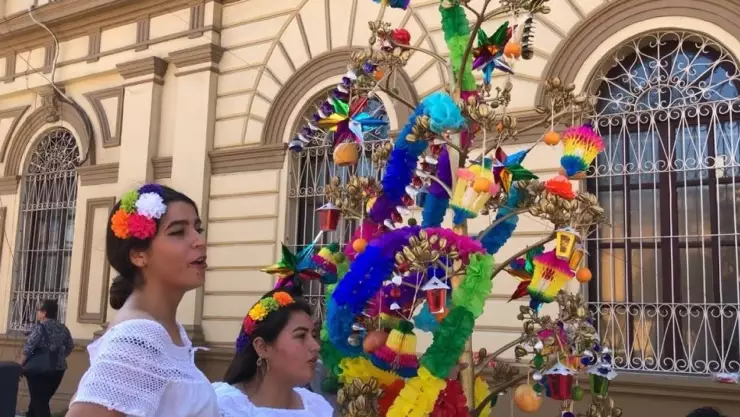 Navidad 2024_ origen de la tradición de la rama.jpg