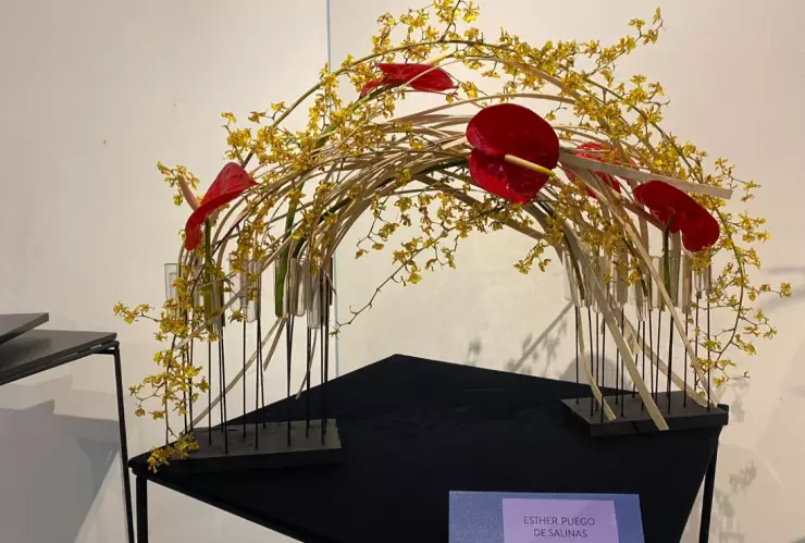Ikebana Entrelazados exposición