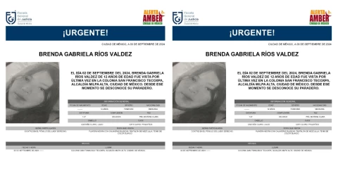Ayuda para localizar a Brenda Gabriela Ríos Valdez.