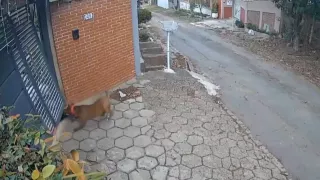 1280 x 720 px - 2025-10-22T181745.888.jpg