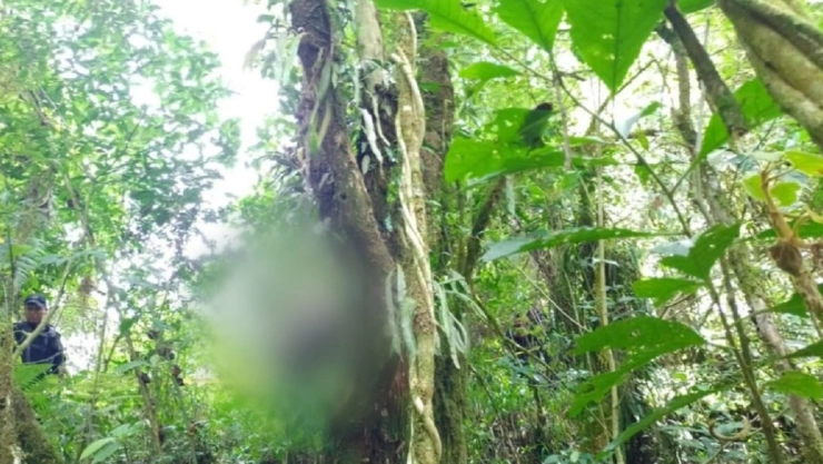 cabeza humana arbol teziutlan