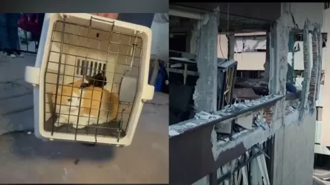 Explosión por acumulación de gas en Taxqueña: vecinos regresar por documentos y mascotas