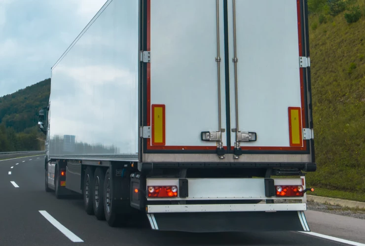 Decomisan droga en Celaya durante operativo, 16 de enero de 2025.png