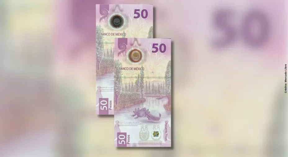 ¿Cómo puedes identificar un billete falso?