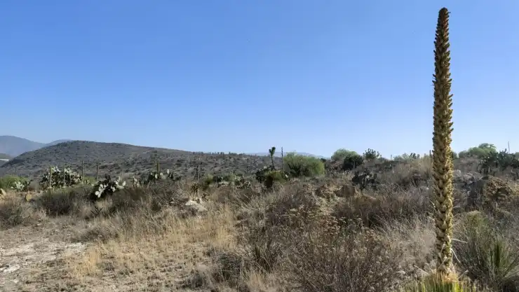Calor en Querétaro.jpeg