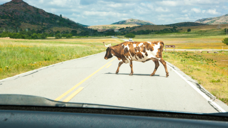 accidente en Parral.jpg