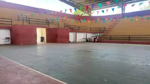 Habilitan refugio para animales de la calle en este municipio por la llegada del Huracán Beryl en Yucatán