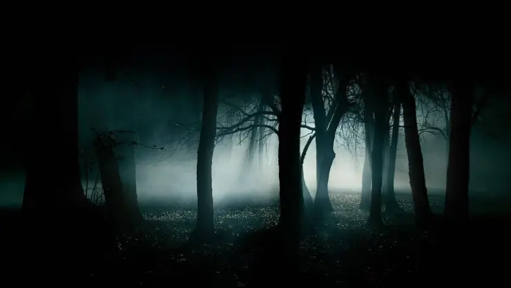 ¡Prepárate! Se viene la NOCHE más Oscura del año en noviembre de 2025 y esto debes saber