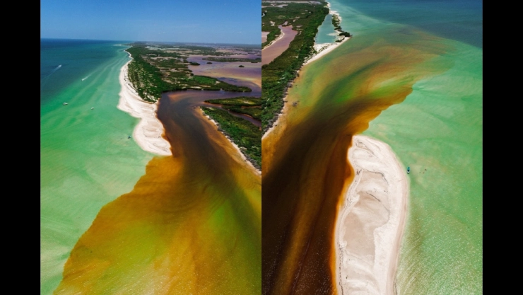 ¿Mal presagio? Mar de Chuburná se tiñe de rojo y esta es la PODEROSA razón