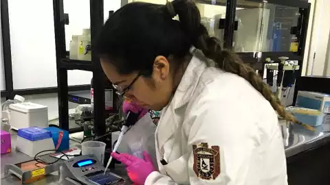 ipn-investiga-bacteria-cancer-estomago (1).jpg