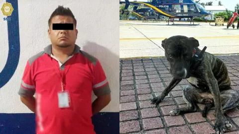 Un hombre atropelló a una perrita en la CDMX y Policías de la SSC lo capturaron