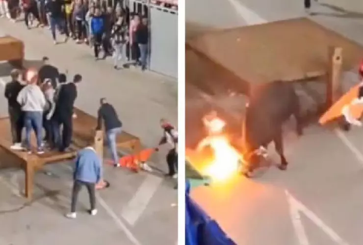 Video Joven le prende fuego a un toro en España y recibe una cornada