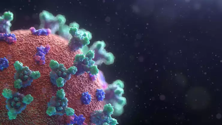 Reportan casos de variante de Covid-19 ‘Perro del infierno’ en México.jpg