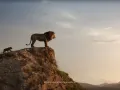 El Rey León Live Action Doblaje