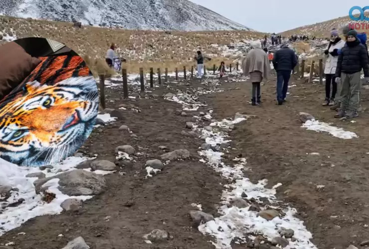 Frentes fríos en México invierno 2025 2026