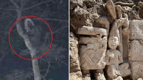 aluxe duende maya tren maya foto AMLO