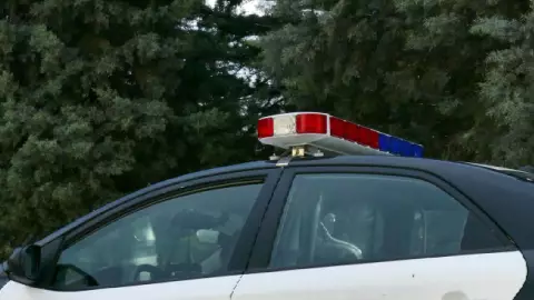 Restos de animales hallados_ ¿Qué dijeron las autoridades sobre la situación?