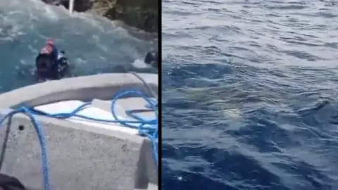 Apneista colombiano es atacado por un tiburón en San Andrés