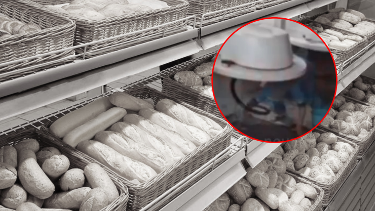 Triturada panadería.jpg