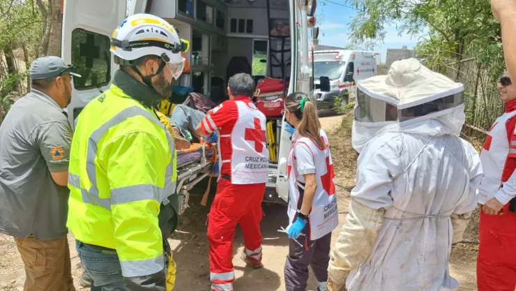 Hombre es atacado por abejas en Las Coloradas, en Culiacán