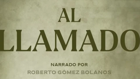 al llamdo roberto gmez bolaños.jpg