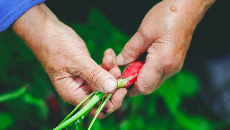 aliviar el dolor de artritis
