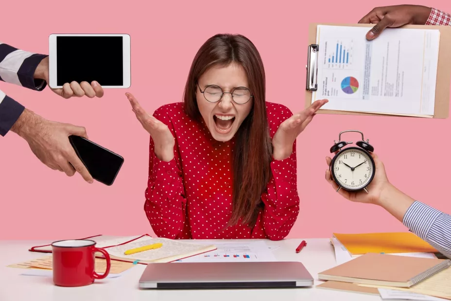 Imagen cortesía 5.jpg