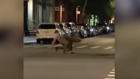 Hombre rata es captado caminando en calles de Nueva York